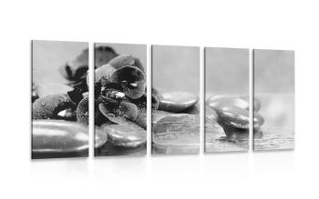 5-częściowy obraz orchidea z nutą relaksu w wersji czarno-białej - 200x100