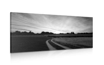 Obraz zachodzące słońce nad krajobrazem w wersji czarno-białej - 120x60