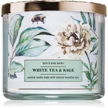 Bath & Body Works White Tea & Sage świeczka zapachowa z olejkami eterycznymi 411 g