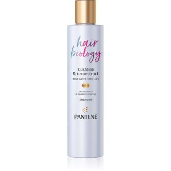 Pantene Hair Biology Cleanse & Reconstruct szampon do włosów przetłuszczających 250 ml