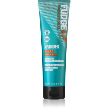 Fudge Care Xpander szampon regenerujący do włosów słabych i zniszczonych 250 ml