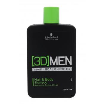 Schwarzkopf Professional 3DMEN Hair & Body 250 ml szampon do włosów dla mężczyzn