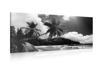 Obraz piękna plaża na wyspie Seszele w wersji czarno-białej