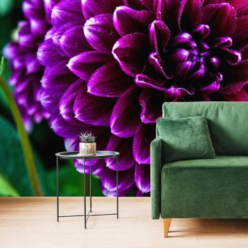 Samoprzylepna tapeta piękny fioletowy kwiat - 450x300