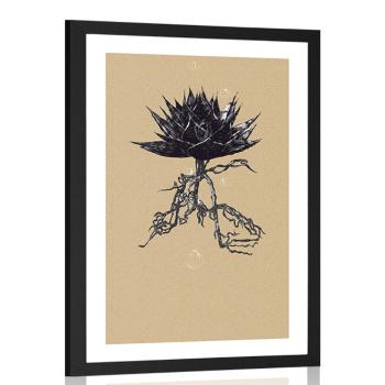 Plakat passepartout  Aloe Vera w naturalnych kolorach - 30x45 black