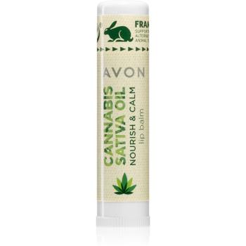 Avon Cannabis Sativa Oil Nourish & Calm balsam do ust z olejkiem konopnym 4,5 g