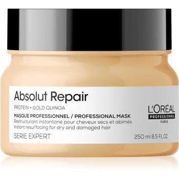 L’Oréal Professionnel Serie Expert Absolut Repair maska dogłębnie regenerująca do włosów suchych i zniszczonych 250 ml