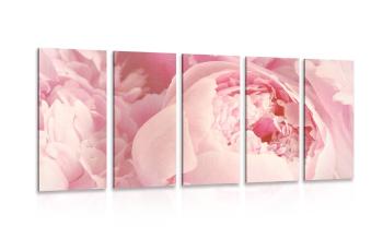 5-częściowy obraz płatki kwiatów - 100x50