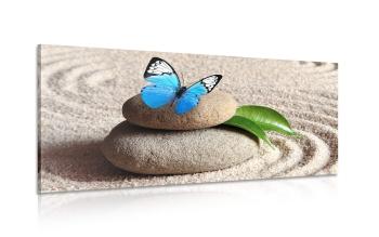 Obraz niebieski motyl na kamieniu zen