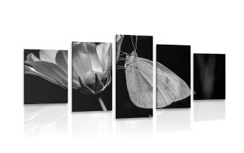 5-częściowy obraz motyl na kwiatku w wersji czarno-białej - 200x100