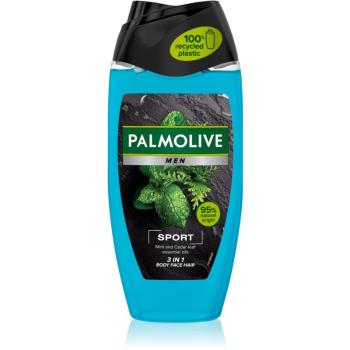 Palmolive Men Revitalising Sport żel pod prysznic dla mężczyzn 2 w 1 250 ml