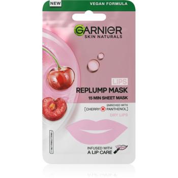 Garnier Skin Naturals Lips Replump Mask maska wypelniająca zmarszczki do ust 5 g