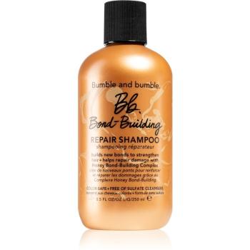 Bumble and bumble Bb.Bond-Building Repair Shampoo szampon odbudowujący włosy do codziennego użytku 250 ml