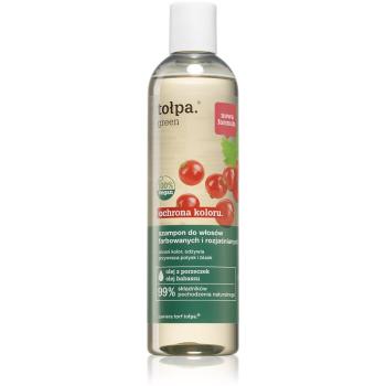 Tołpa Green Color Protect szampon rozjaśniający i tonizujący do włosów farbowanych 300 ml