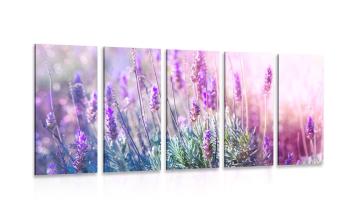 5-częściowy obraz magiczne kwiaty lawendy - 100x50
