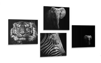 Zestaw obrazów zwierzęta w wersji czarno-białej - 4x 40x40
