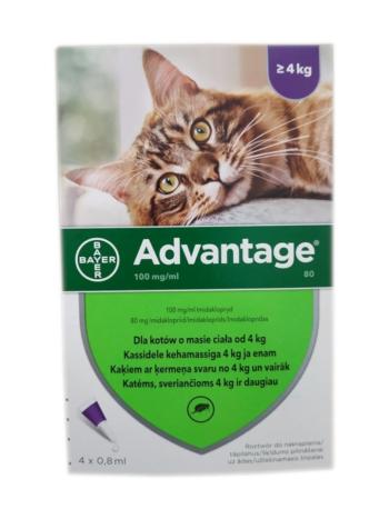 BAYER ADVANTAGE Roztwór do nakrapiania dla kotów powyżej 4 kg (4 x 0,8 ml)