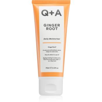 Q+A Ginger Root krem intensywnie nawilżający 75 ml