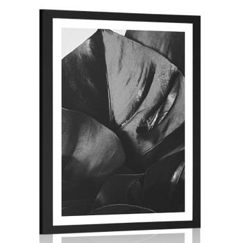 Plakat z passe-partout liść monstery w czerni i bieli - 60x90 white