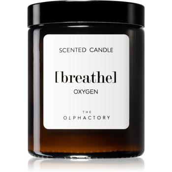 Ambientair Olphactory Oxygen świeczka zapachowa (brown) Breathe 135 g