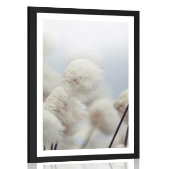 Plakat z passe-partout arktyczne kwiaty bawełny - 20x30 white
