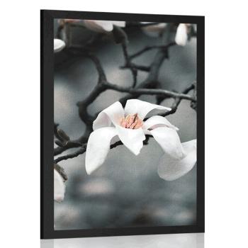 Plakat przebudzenie magnolii - 30x45 silver