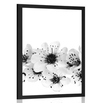 Plakat kwiaty wiśni w czerni i bieli - 60x90 black