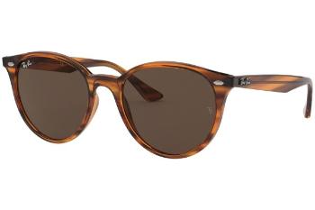 Ray-Ban RB4305 820/73 ONE SIZE (53)