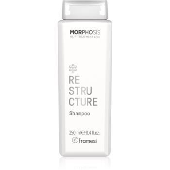 Framesi Morphosis Restructure Shampoo wzmacniający szampon do włosów zniszczonych 250 ml