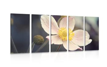 5-częściowy obraz kruchość kwiatu - 200x100