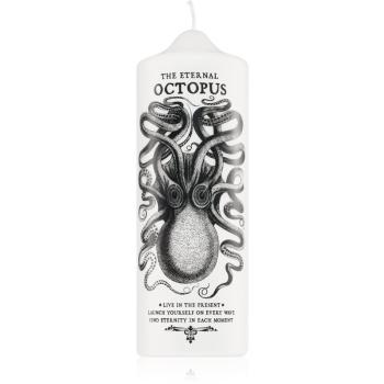 CORETERNO Visionary Octopus świeczka 7x20 cm