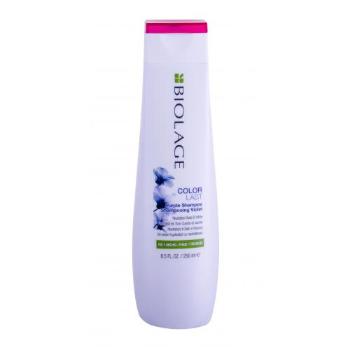 Biolage Color Last Purple 250 ml szampon do włosów dla kobiet