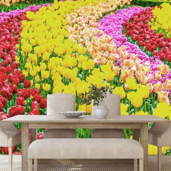 Samoprzylepna fototapeta ogród pełen tulipanów - 150x100
