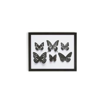 Obraz w ramie Graham & Brown Botanical Butterfly, 50x40 cm