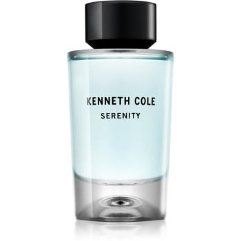 Kenneth Cole Serenity woda toaletowa unisex 100 ml