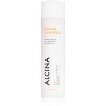 Alcina Repair Line wzmacniający szampon do włosów zniszczonych 250 ml