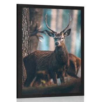 Plakat jeleń w lesie - 60x90 black
