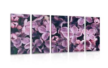 5-częściowy obraz fioletowe kwiaty bzu - 100x50