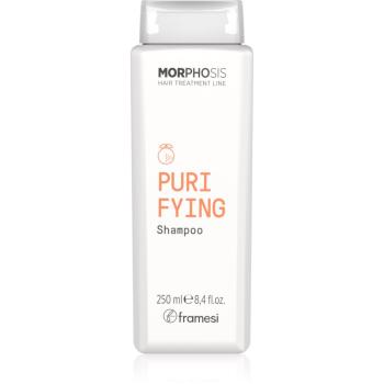 Framesi Morphosis Purifying szampon oczyszczający przeciw łupieżowi 250 ml