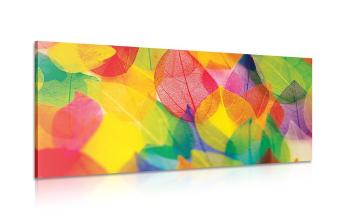 Obraz liście w jesiennych kolorach - 100x50
