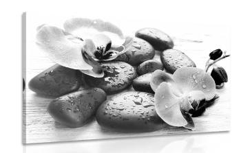 Obraz piękne połączenie kamieni i orchidei w wersji czarno-białej - 90x60