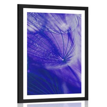 Plakat z passe-partout piękny mniszek w kolorze fioletowym - 20x30 silver