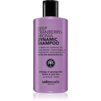 Udo Walz Dynamic Cranberry + Aronia szampon regenerujący do włosów 300 ml