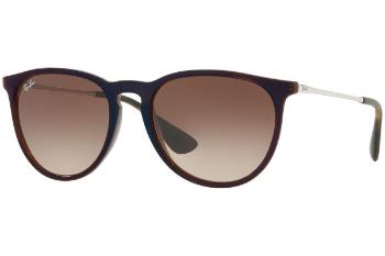 Ray-Ban Erika Classic RB4171 631513 ONE SIZE (54)