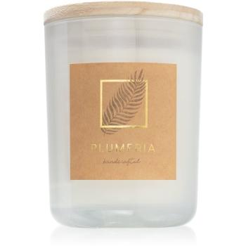DW Home Plumeria świeczka zapachowa 434 g