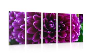 5-częściowy obraz purpurowo -fioletowy kwiat