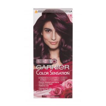 Garnier Color Sensation 40 ml farba do włosów dla kobiet 3,16 Deep Amethyste