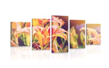 5-częściowy obraz piękne kwitnące kwiaty w ogrodzie - 200x100