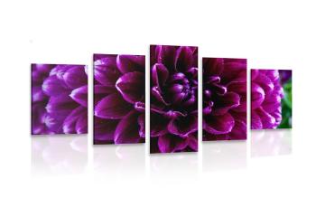 5-częściowy obraz purpurowo - fioletowy kwiat - 100x50
