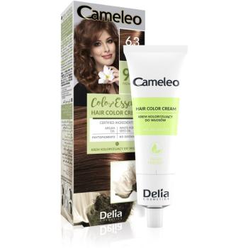 Delia Cosmetics Cameleo Color Essence farba do włosów w tubce odcień 6.3 Golden Chestnut 75 g